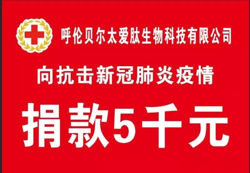 97acaa76-3a09-fe7f-f176-aa2f1cd28177.jpg 640.webp.jpg